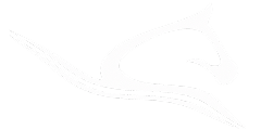Logo SAS